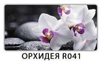 Стол раздвижной-бабочка Паук с фотопечатью